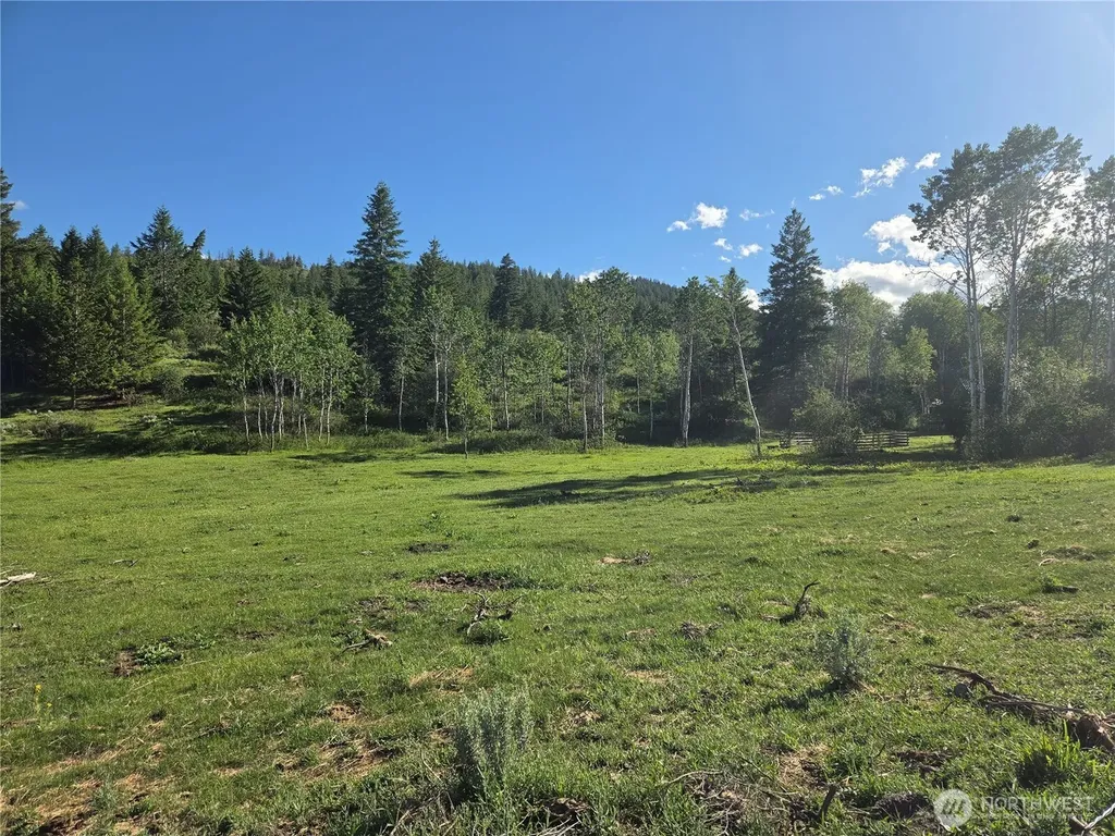 1066 A Ellemeham Mountain Road Oroville WA 98844