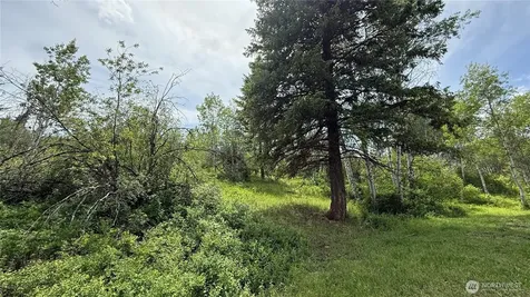 1066 Ellemeham Mountain Road Oroville WA 98844
