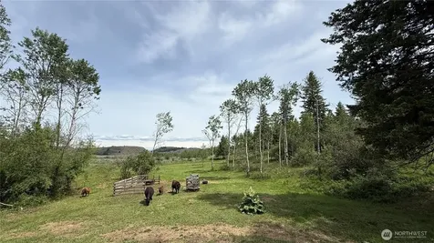 1066 Ellemeham Mountain Road Oroville WA 98844