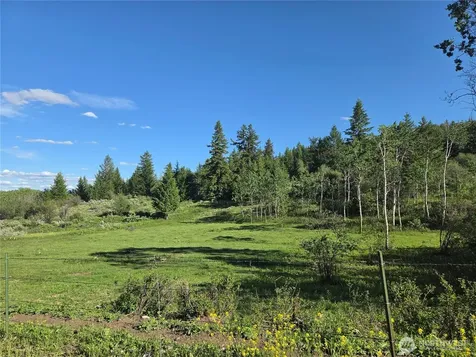 1066 A Ellemeham Mountain Road Oroville WA 98844