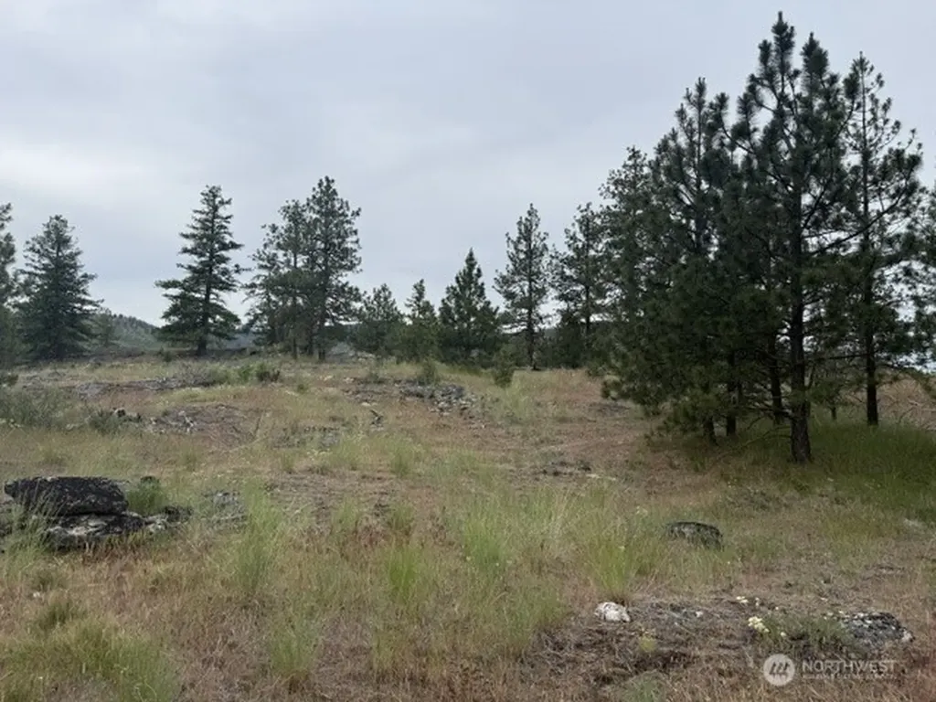 111 Tbd Patterson Creek Tonasket WA 98855