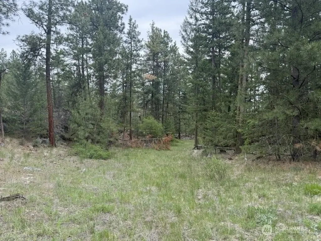 111 Tbd Patterson Creek Tonasket WA 98855