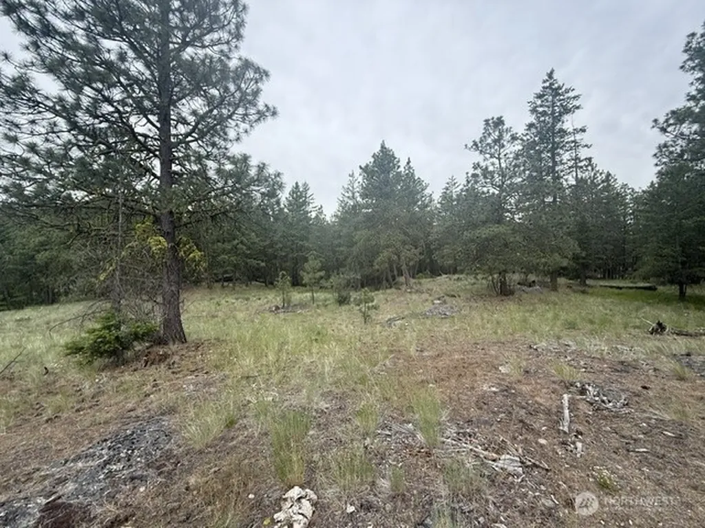 111 Tbd Patterson Creek Tonasket WA 98855