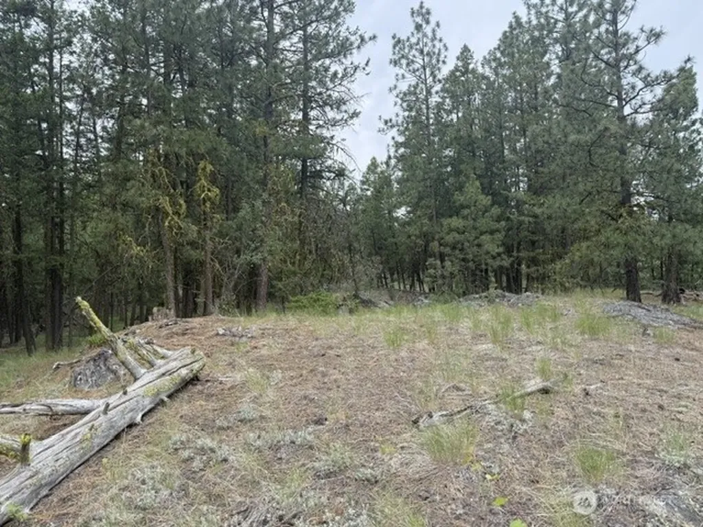 111 Tbd Patterson Creek Tonasket WA 98855