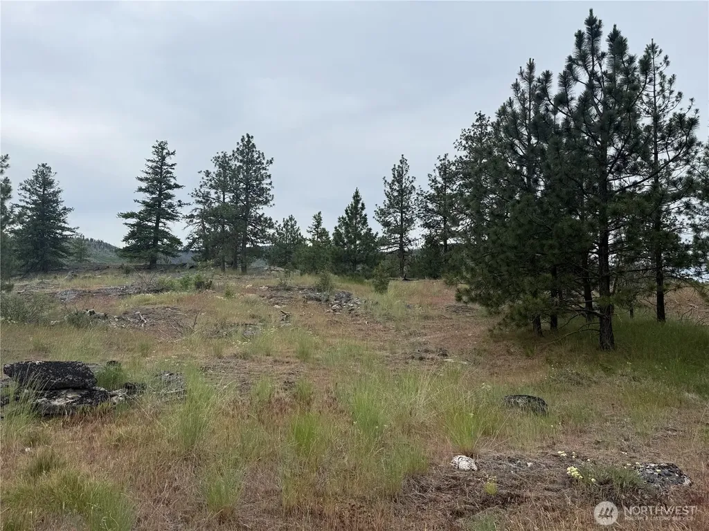 111 Tbd Patterson Creek Tonasket WA 98855