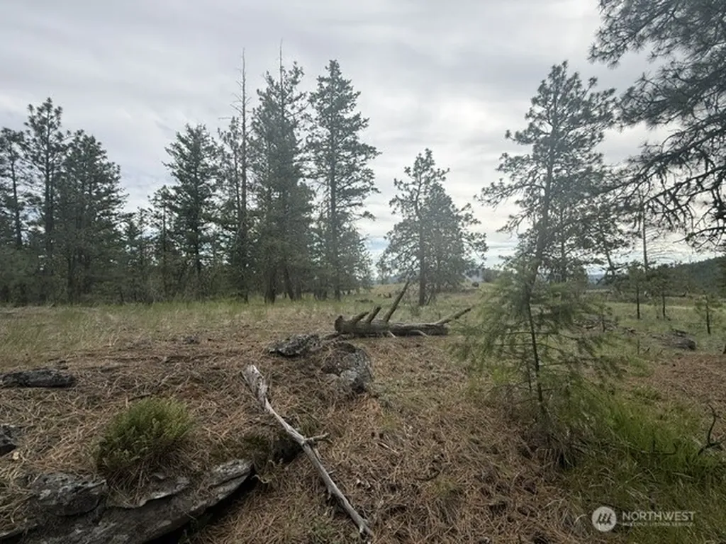 111 Tbd Patterson Creek Tonasket WA 98855