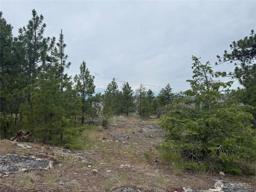 111 Tbd Patterson Creek Tonasket WA 98855
