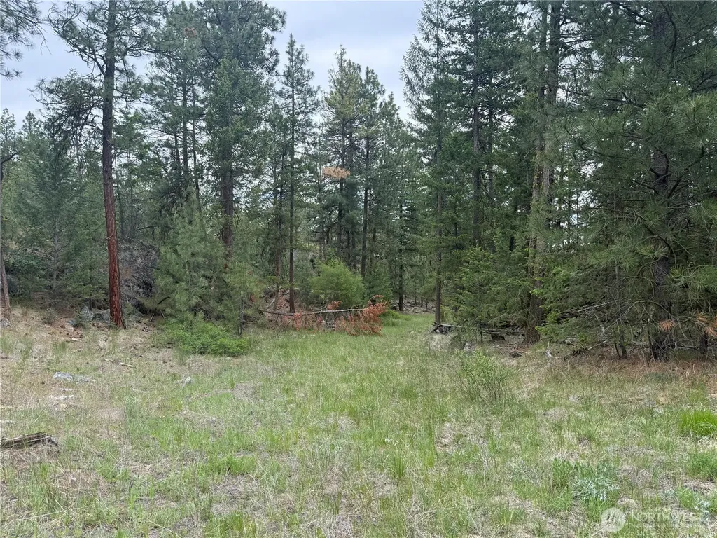 111 Tbd Patterson Creek Tonasket WA 98855