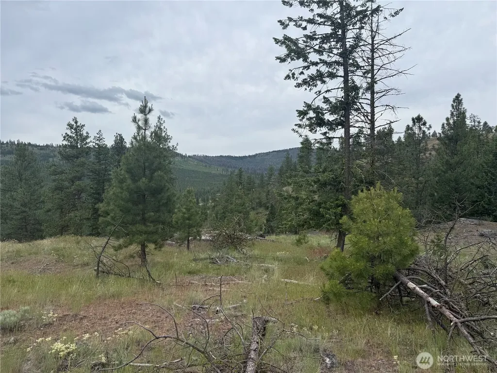 111 Tbd Patterson Creek Tonasket WA 98855