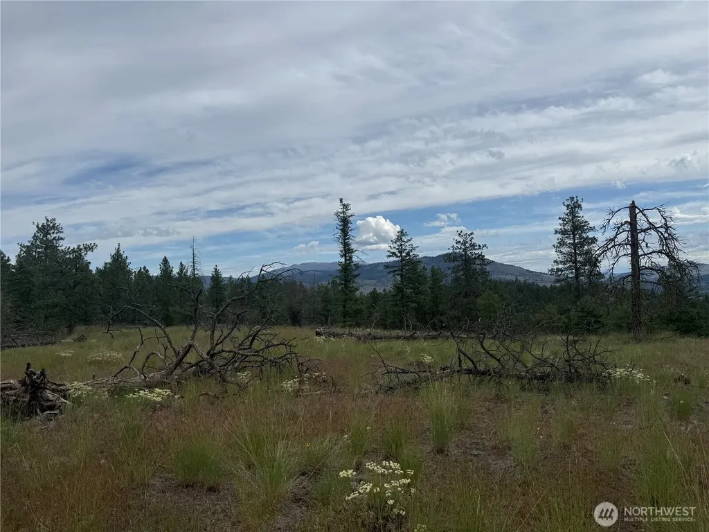 111 Tbd Patterson Creek Tonasket WA 98855