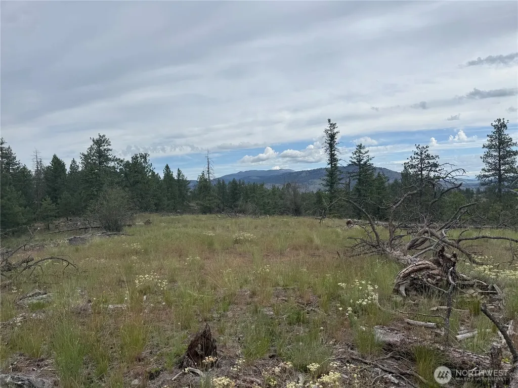 111 Tbd Patterson Creek Tonasket WA 98855