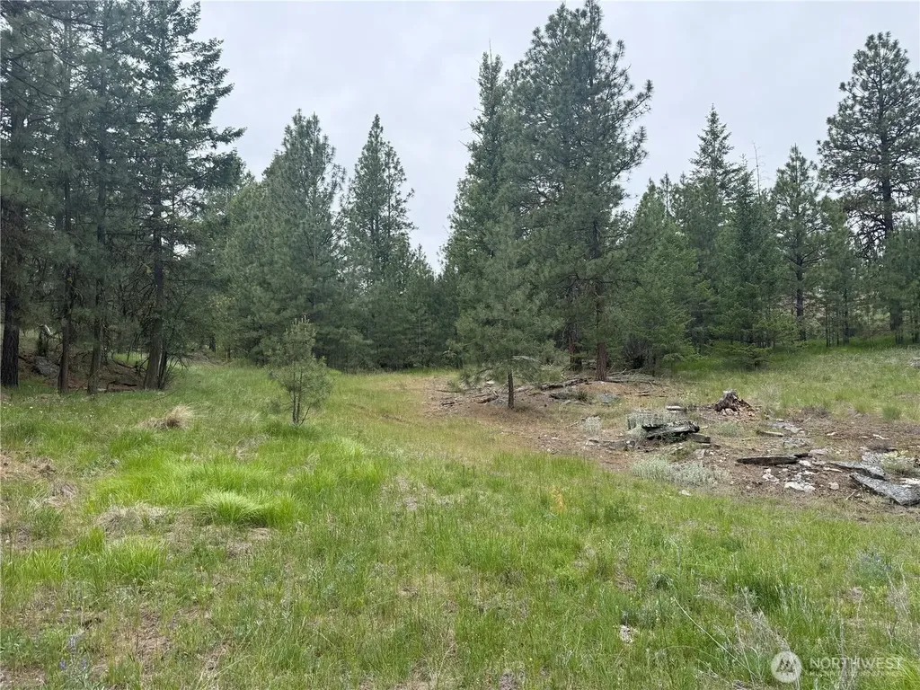 111 Tbd Patterson Creek Tonasket WA 98855