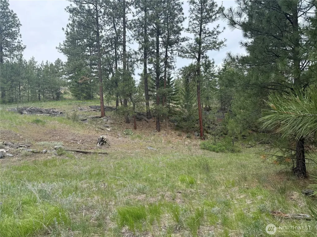 111 Tbd Patterson Creek Tonasket WA 98855