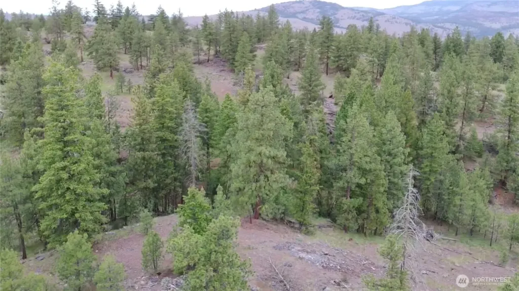 111 Tbd Patterson Creek Tonasket WA 98855