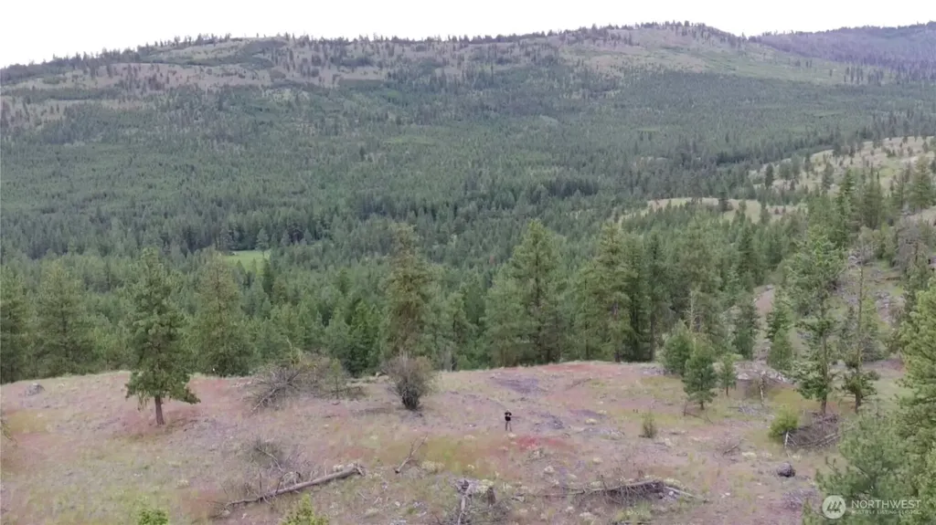 111 Tbd Patterson Creek Tonasket WA 98855