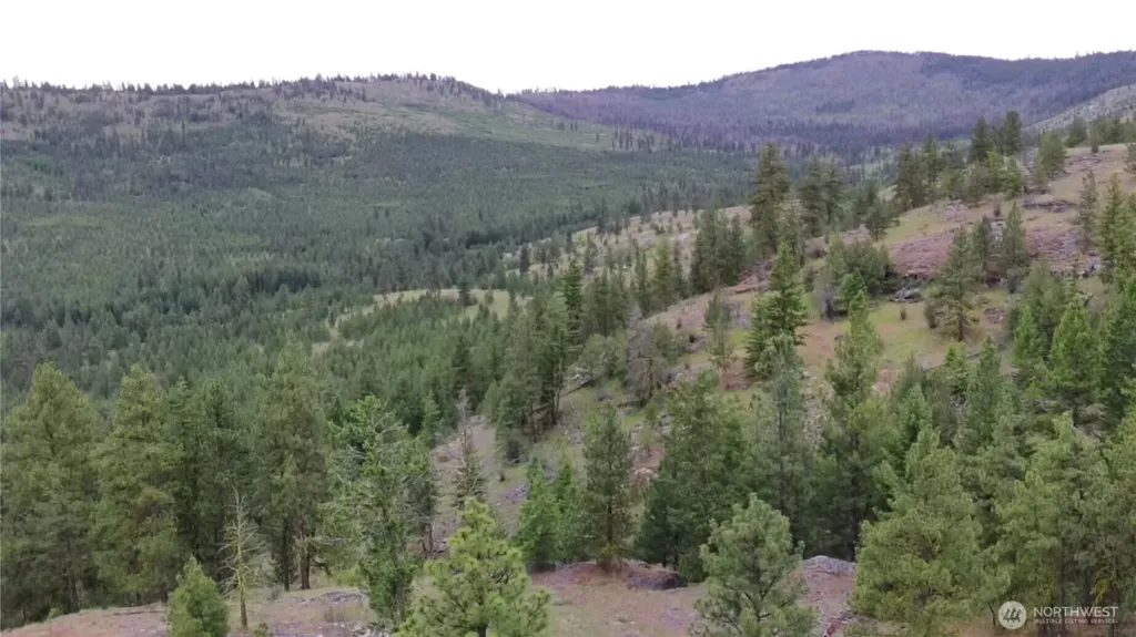 111 Tbd Patterson Creek Tonasket WA 98855