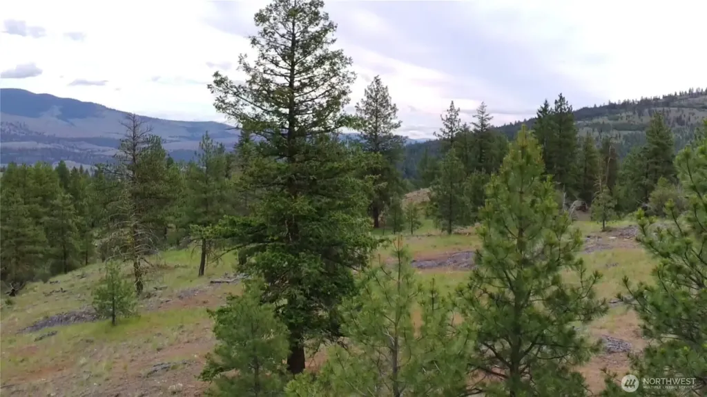 111 Tbd Patterson Creek Tonasket WA 98855