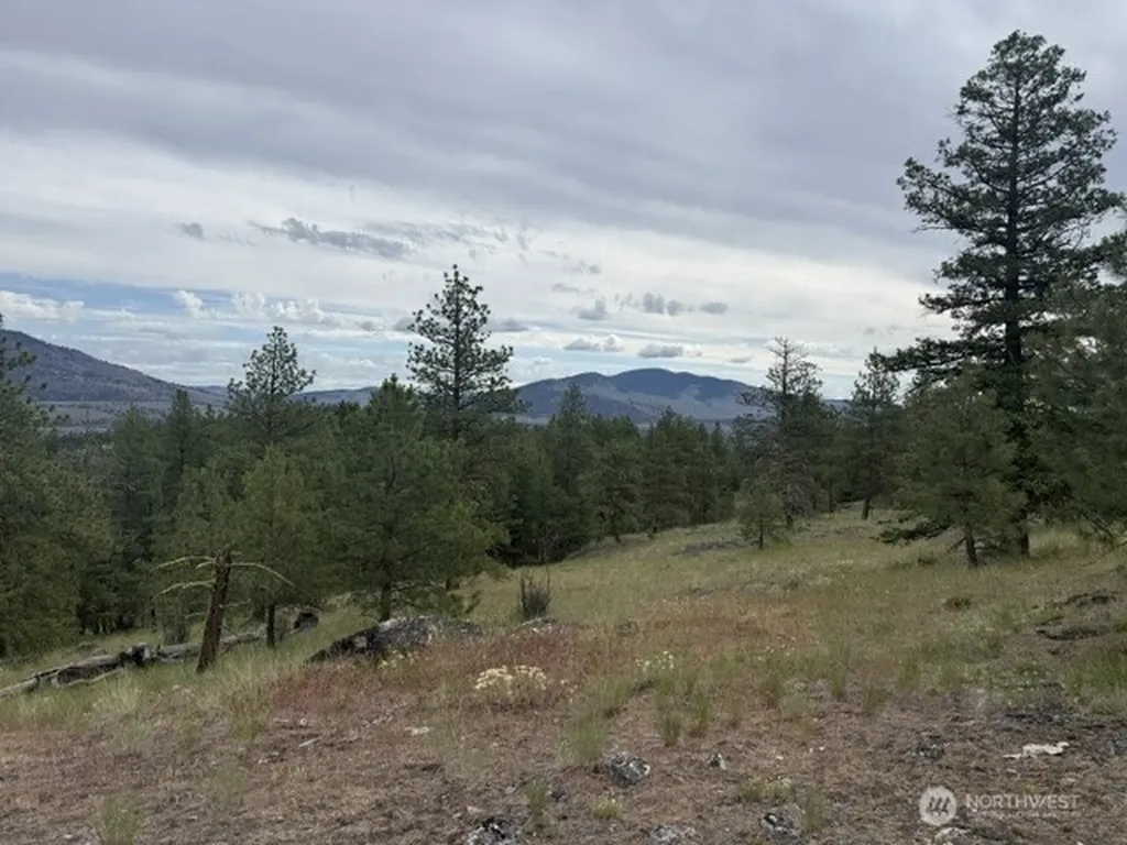 111 Tbd Patterson Creek Tonasket WA 98855