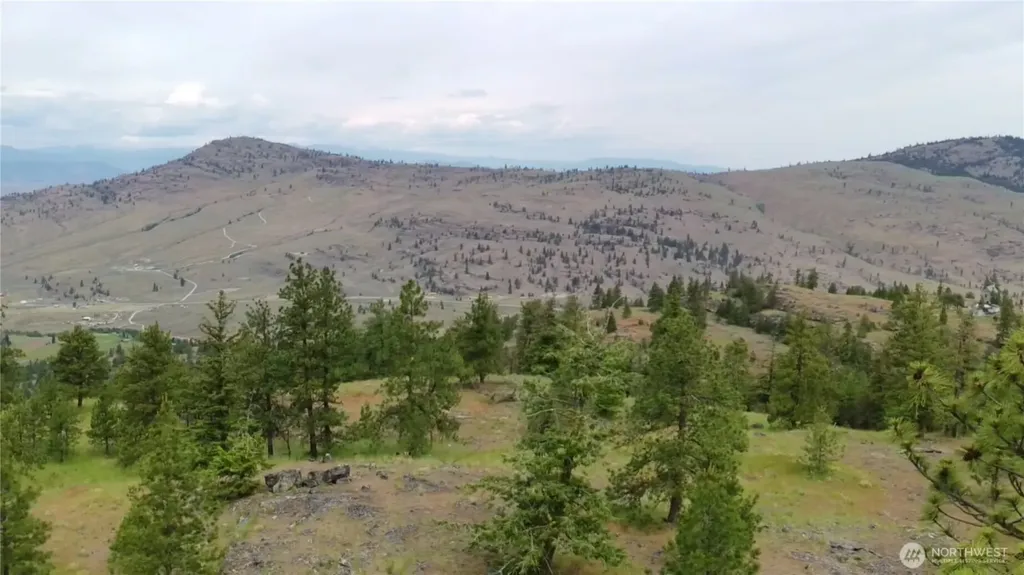 111 Tbd Patterson Creek Tonasket WA 98855