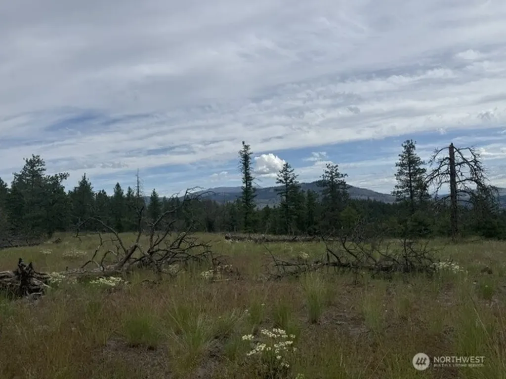 111 Tbd Patterson Creek Tonasket WA 98855