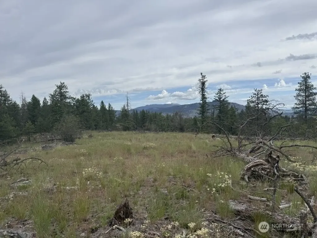111 Tbd Patterson Creek Tonasket WA 98855
