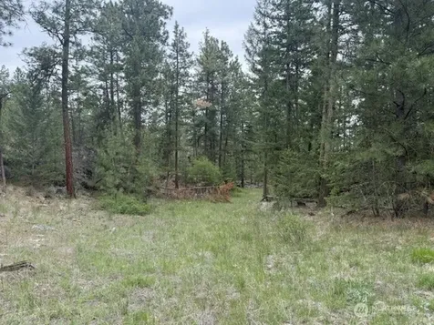 111 Tbd Patterson Creek Tonasket WA 98855