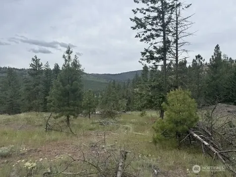 111 Tbd Patterson Creek Tonasket WA 98855
