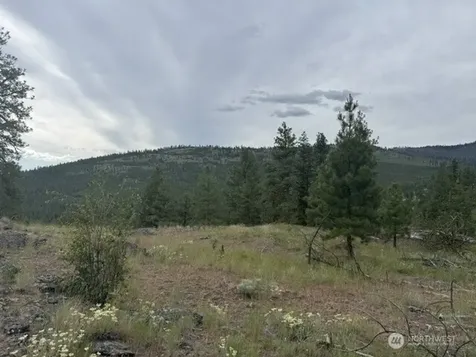 111 Tbd Patterson Creek Tonasket WA 98855