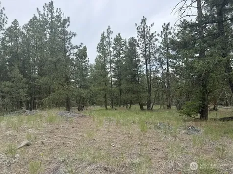 111 Tbd Patterson Creek Tonasket WA 98855