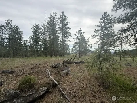 111 Tbd Patterson Creek Tonasket WA 98855