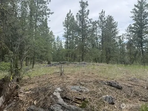 111 Tbd Patterson Creek Tonasket WA 98855