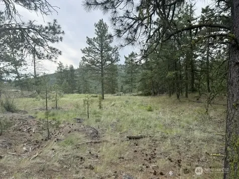 111 Tbd Patterson Creek Tonasket WA 98855