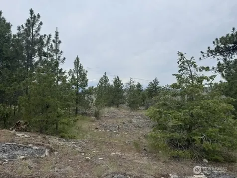 111 Tbd Patterson Creek Tonasket WA 98855
