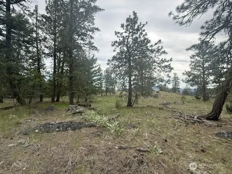 111 Tbd Patterson Creek Tonasket WA 98855