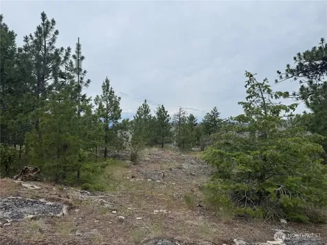 111 Tbd Patterson Creek Tonasket WA 98855