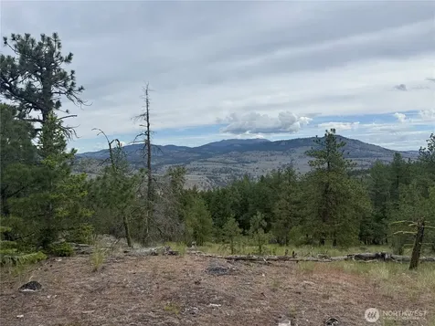 111 Tbd Patterson Creek Tonasket WA 98855