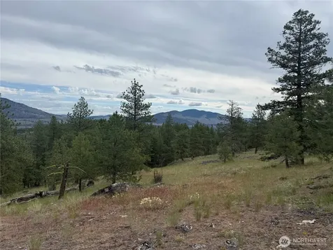111 Tbd Patterson Creek Tonasket WA 98855