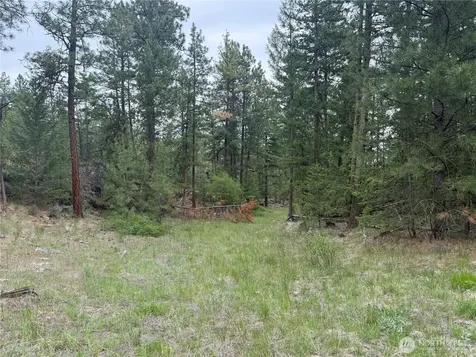 111 Tbd Patterson Creek Tonasket WA 98855