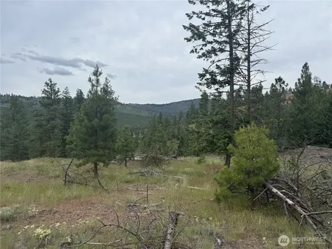 111 Tbd Patterson Creek Tonasket WA 98855