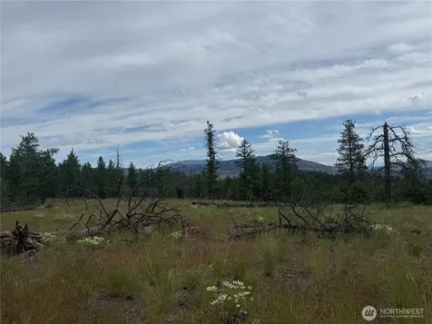 111 Tbd Patterson Creek Tonasket WA 98855