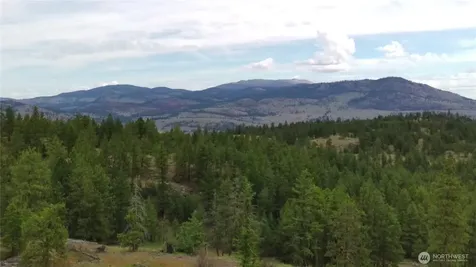 111 Tbd Patterson Creek Tonasket WA 98855