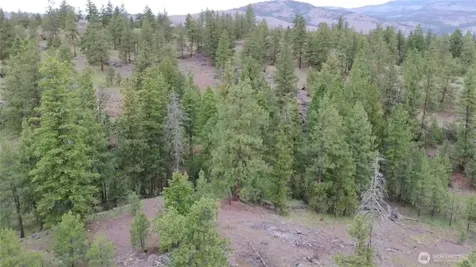 111 Tbd Patterson Creek Tonasket WA 98855