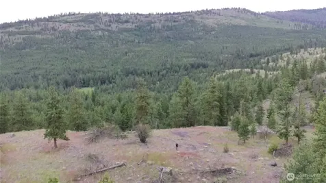 111 Tbd Patterson Creek Tonasket WA 98855
