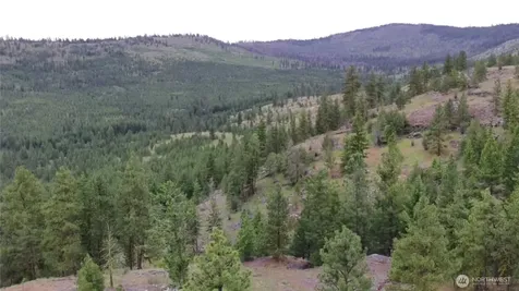 111 Tbd Patterson Creek Tonasket WA 98855