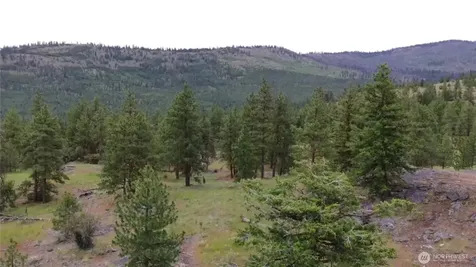 111 Tbd Patterson Creek Tonasket WA 98855