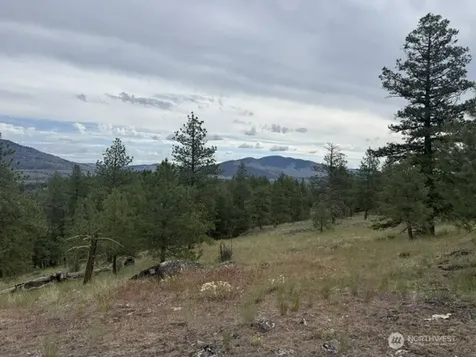 111 Tbd Patterson Creek Tonasket WA 98855