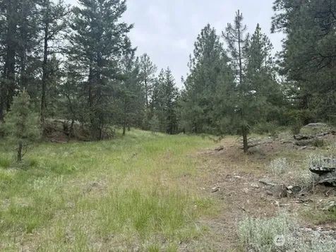 111 Tbd Patterson Creek Tonasket WA 98855