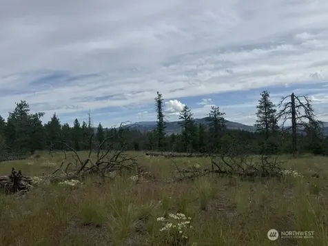 111 Tbd Patterson Creek Tonasket WA 98855