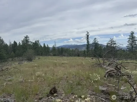 111 Tbd Patterson Creek Tonasket WA 98855