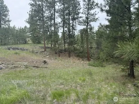 111 Tbd Patterson Creek Tonasket WA 98855